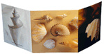 Click to enlarge the icon. CD duplication Replication, Manufacturing and processing in the USA
