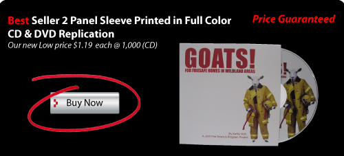 best seller 2 panel Disc mailer printed color with cd Duplication