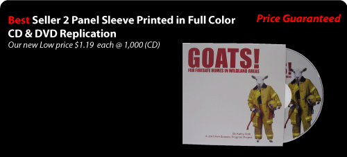 best seller 2 panel Disc mailer printed color with cd Duplication