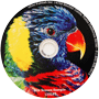 5 Color Silk Screened DVD-R, DVD+RW, DVD-RW or DVD+R